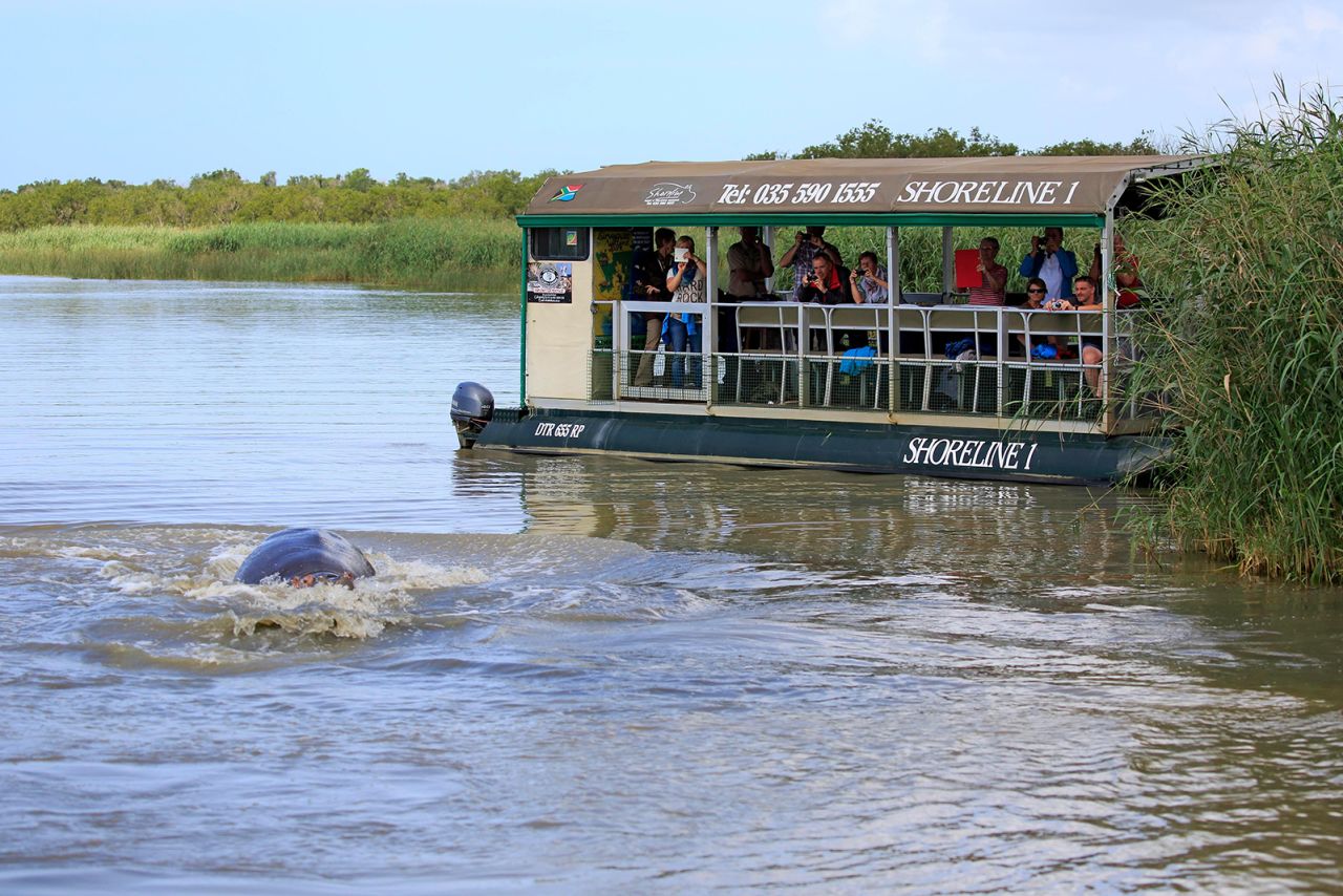 This tourist boat observes hippos in  Isimangaliso Wetland Park in South Africa. Larger vessels can offer more protection from a sudden hippo attack.